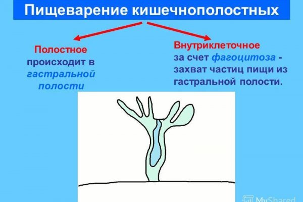 Kraken cc ссылка