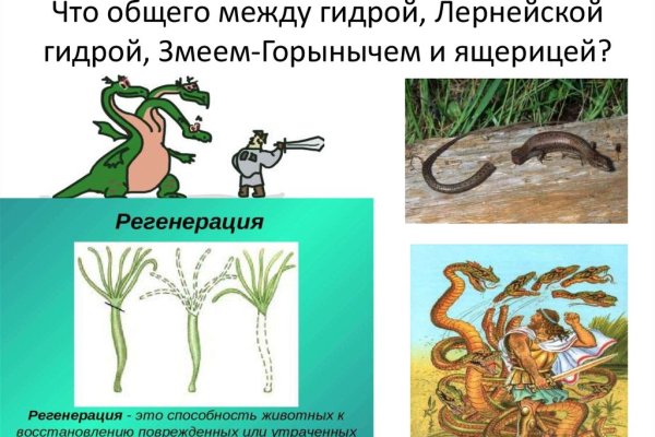 Кракен маркетплейс официальный сайт
